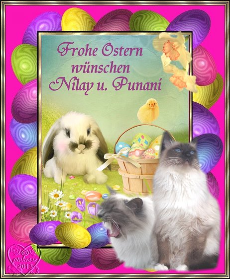 Liebe Nilay und Punani, herzlichen Dank für die tolle Osterkarte!